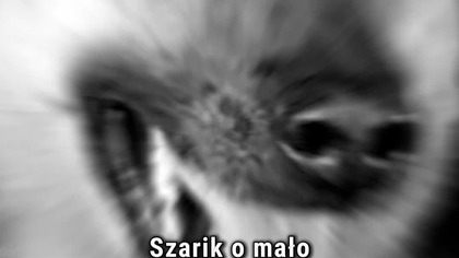 CZTEREJ PANCERNI I PIES  prawie zginął na planie? #czterejpancerni #szarik #prl