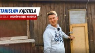 Vlog 6 - Powrót do hodowli - Odchów gołebi młodych - porady dla młodych hodowców - pomoc hodowcy