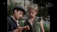 Pinokio. Le. Avventure. Di. Pinocchio. 1972. Lektor.pl