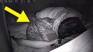 ZOSTAWIŁ NA NOC WŁĄCZONĄ KAMERĘ, to co robił JEGO KOT jest ZADZIWIAJĄCE...