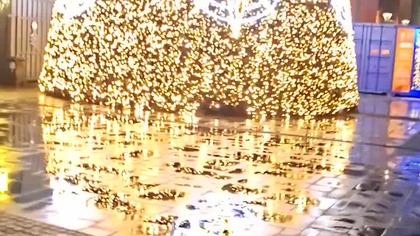 Choinka Bożonarodzeniowa  #choinka #christmas #vlogmas #shorts