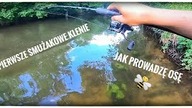 Pierwsze klenie na smużaka w 2021 // jak prowadzę osę