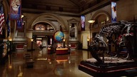 Noc w muzeum (Night at the Museum) [2006]