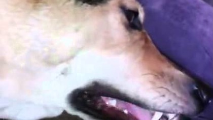 #1 Kapitalny remont mieszkania,salonu,pokoju,kuchnia,łazienka,living room,hall,kitchen,bathroom