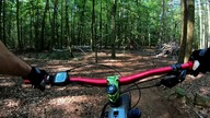 MTB Trail im Wald oder schon wilder Bikepark
