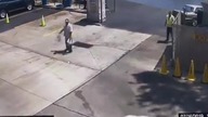 LiveLeak - Weird situation