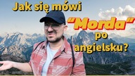 Jak się mówi Morda po angielsku? - Szybka Lekcja Angielskiego