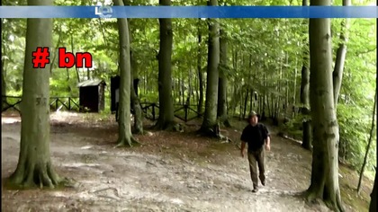 Wybieramy najlepszy Film Marfisha.  Leśna Przygoda Karpiowa