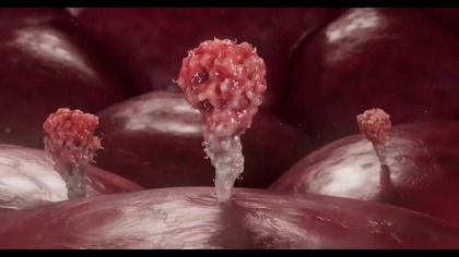 Wewnątrz preparatów mRNA Film (Inside mRNA Vaccines: The Movie)