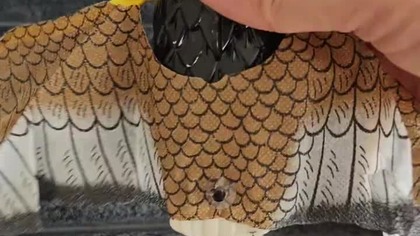 Chiński ptak z Aliexpress