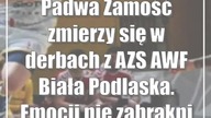 Padwa Zamość zmierzy się w derbach z AZS AWF Biała Podlaska.  Emocji nie zabraknie