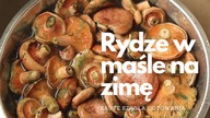 Rydze w maśle na zimę #saffronmilkcups #rydze #easypartyfood #rydzewmasle Saute Szkoła Gotowania