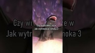 Czy wiedziałeś, że w Jak wytresować smoka 3...