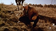 Roswell 1994 lektor pl