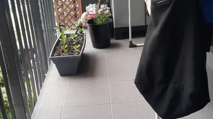 Na jakie ugrupowanie polityczne oddam głos ( ankieta)