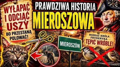 TU KOTY BIEGAŁY BEZ USZU/ MROCZNE DZIEJE MIEROSZOWA