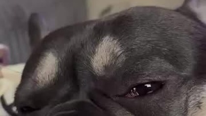 Jak udaje że śpię , i kontroluję wszystko.