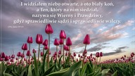Audycja Wyzwolony - Al Vescera