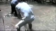 Atak anakondy na psa