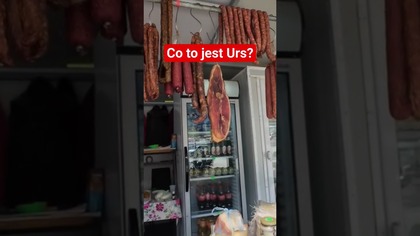 Co to jest Urs? #travelvlog #autostop #podróże #podróże #mountains #vlog #traveling #romania #urs
