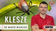 Kleszcze co warto wiedzieć Jak zapobiegać i robić