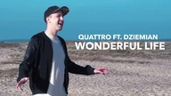 Quattro feat.  Dziemian - Wonderful Life (Black remix)