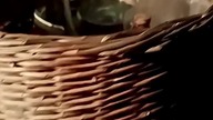 Adriatycki (Chorwacki) poczęstunek! Na dobry początek wypoczynku- Rakija i Śliwowica! Zdrowie Widzów