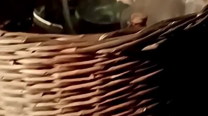 Adriatycki (Chorwacki) poczęstunek! Na dobry początek wypoczynku- Rakija i Śliwowica! Zdrowie Widzów