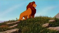The Lion King Patreon