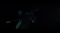 Kleszcz x Kopruch - Życzę Ci 3 (NDKE3) prod.  Kopruch