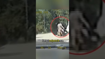 Uciekł przed policją Miał ponad promil!  #Policja #Pościg #Drogówka #Shorts
