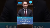 Kosiniak-Kamysz: Pan jest patologicznym kłamcą! #shorts