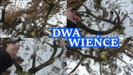 Zrzuty 2021, Kolejne Kapitalne Wieńce Jelenia, Jestem Załamany Odc.  137