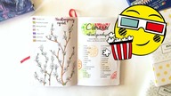 Zaplanuj ze mną czerwiec w bullet journal | Plan with me June