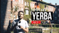 Yerba do posiłku, mate do tereré, fermentacja czy oksydacja? Czajnikowy.pl