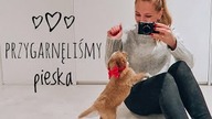 PRZYGARNĘLIŚMY PIESKA | REAKCJA DZIEWCZYNEK | DLM