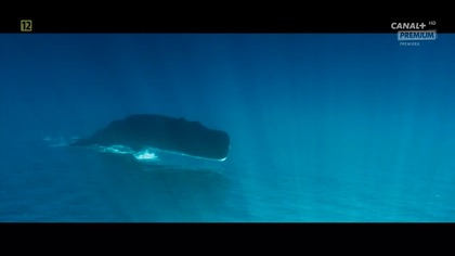 Pieśni wielorybów.  Les gardiennes de la planete.  (2023)