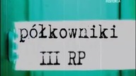 Raport WSI 2007 Wyłudzanie VAT w Polsce