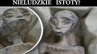 Ciała Obcych z Nazca - prawda czy fikcja?