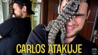 CARLOS NURKUJE / Teju argentyński coraz bardziej mnie lubi 