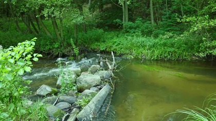 Clear Forest River Sounds &bull; Light Flow Water Noise for Focus, Study & Calm Work