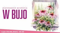 Planowanie września w bullet journalu - Notes DREAM & CREATE, Tosiakowe naklejki i papiery