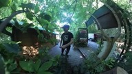 #arboretum #ogród #kwiaty #drzewa #short #shorts