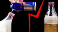 EXPERIMENT RED BULL VS  MILK | 15 EXPERIMENTS AND TRICKS