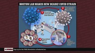 Gates and Fauci just did WHAT? - Redacted with Natali & Clayton Morris ...  english ...