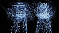 Chemical Brothers - Escape Velocity