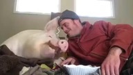 Feeds the pigs as burps hahaha
