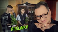 TEN O ZGRYŹLIWYM DZIADKU  Przemyślenia Niekrytego Krytyka