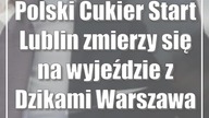 Polski Cukier Start Lublin zmierzy się na wyjeździe z Dzikami Warszawa