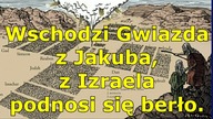 Wyrocznie Balaama (Lb 23-24)